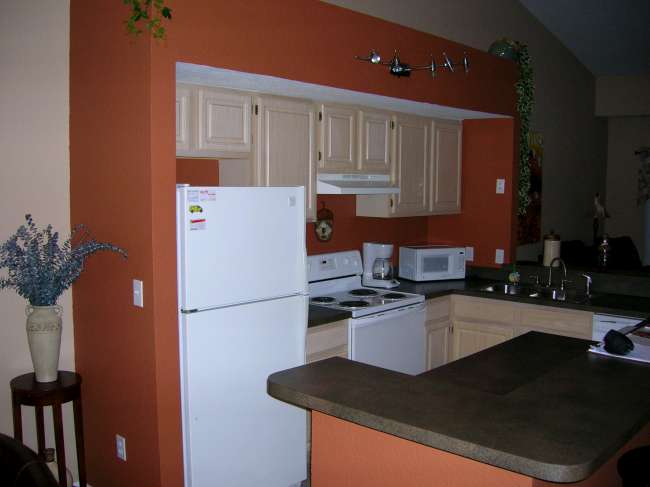 Condo Near Clearwater Beach for rent